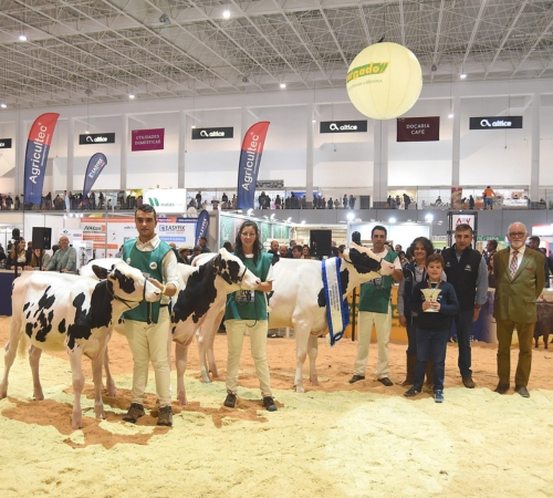 Conheça os vencedores do 9º Concurso Pecuário da Raça Holstein Frísia
